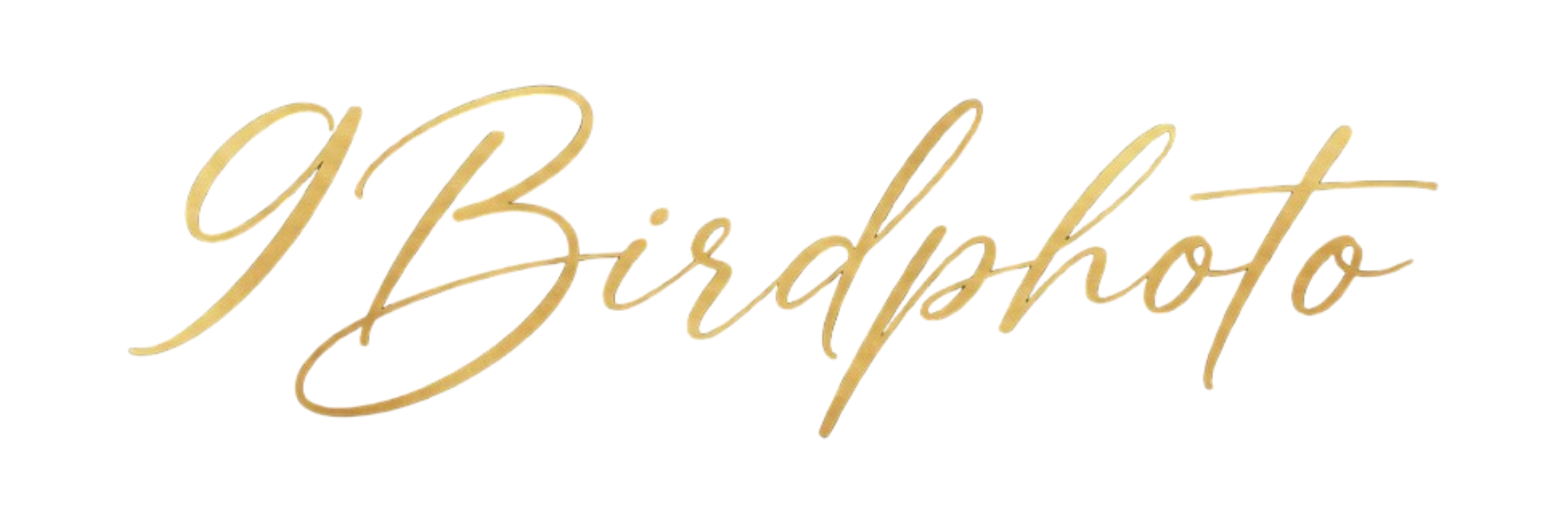 9Birdphoto